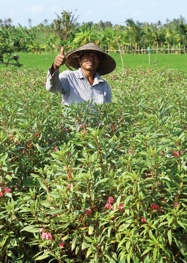 캉구 Tamu Seseh 빌라 외부 사진